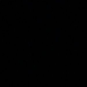 Meet your Posher, Madi